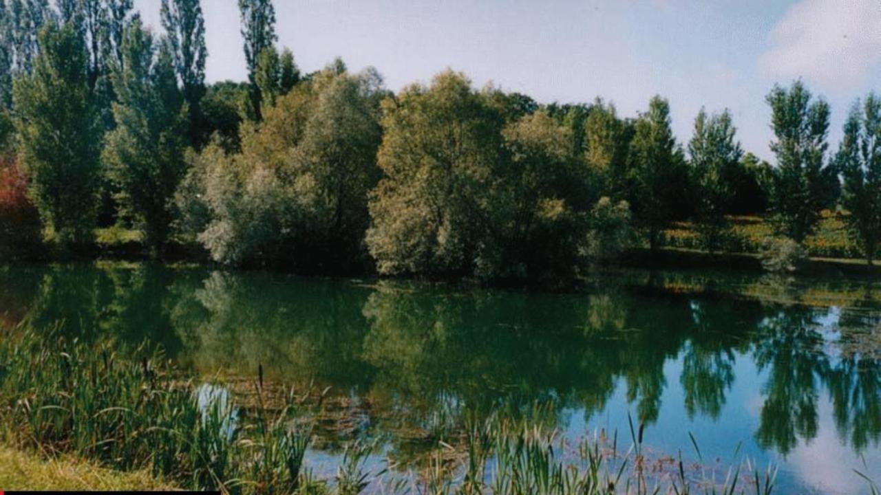 La Decouverte, Jacuzzi, Sauna, Et Terrasse Avec Vue Sur Lac A La Campagne Entre Toulouse Et Auch Catonvielle Exterior foto