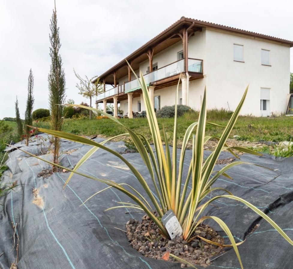 La Decouverte, Jacuzzi, Sauna, Et Terrasse Avec Vue Sur Lac A La Campagne Entre Toulouse Et Auch Catonvielle Exterior foto
